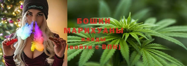 сатива Алзамай