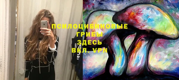 гидра Алексеевка